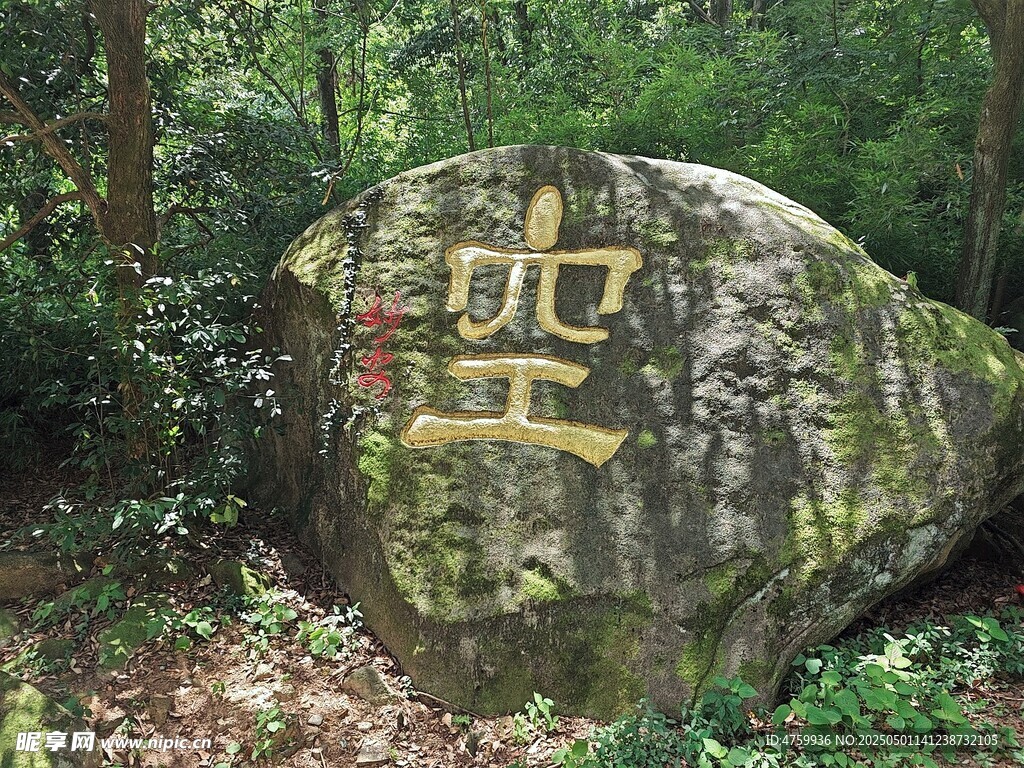 林中刻字巨石