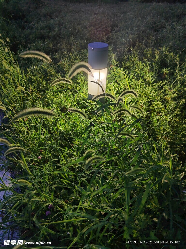 草叢中的發光小夜燈
