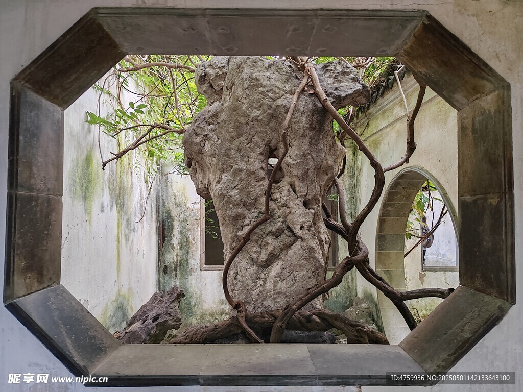 中式庭院窗景古樸雅致假山 藤蔓