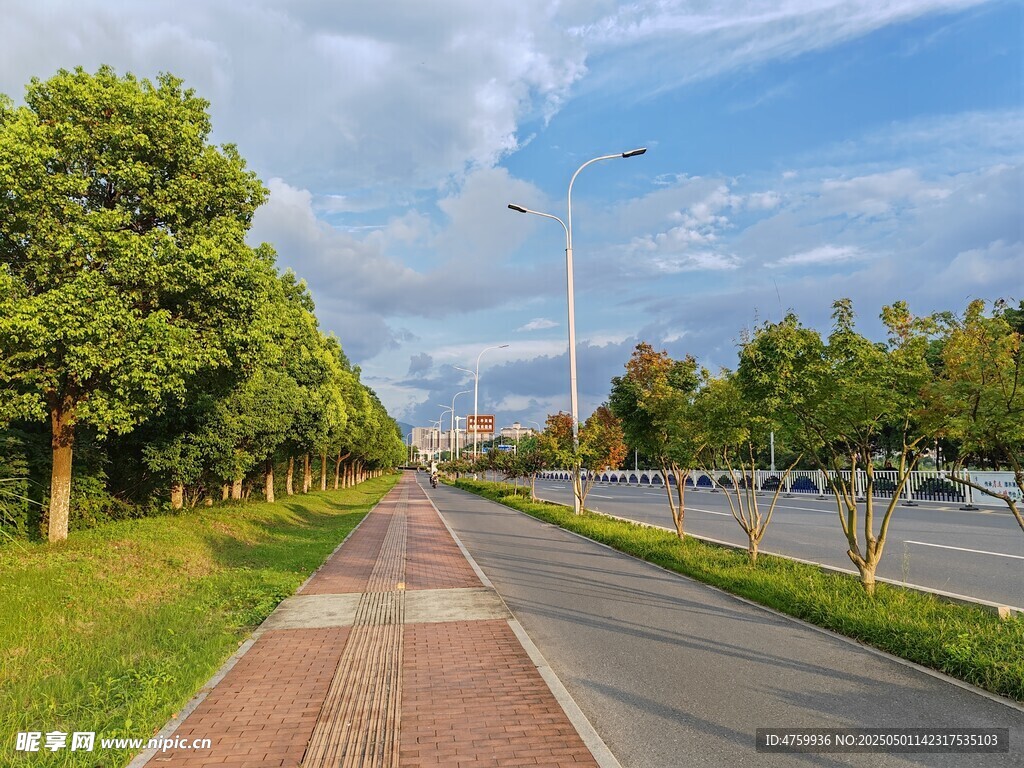 城市林蔭旁的寬闊道路
