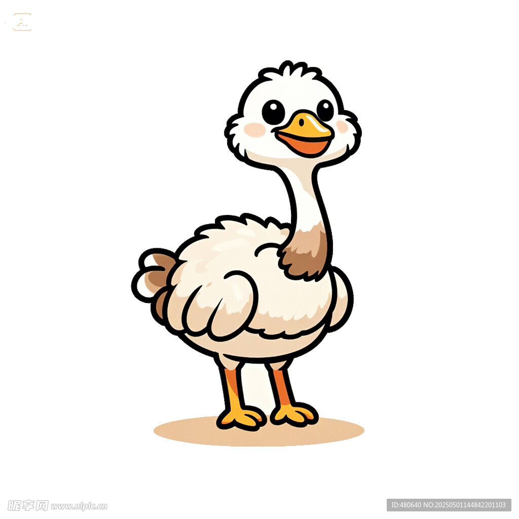 鴕鳥卡通簡筆畫