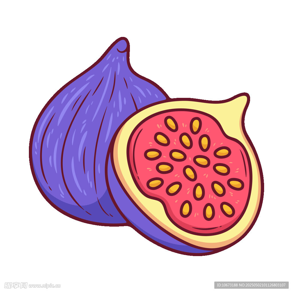 手繪無花果插畫