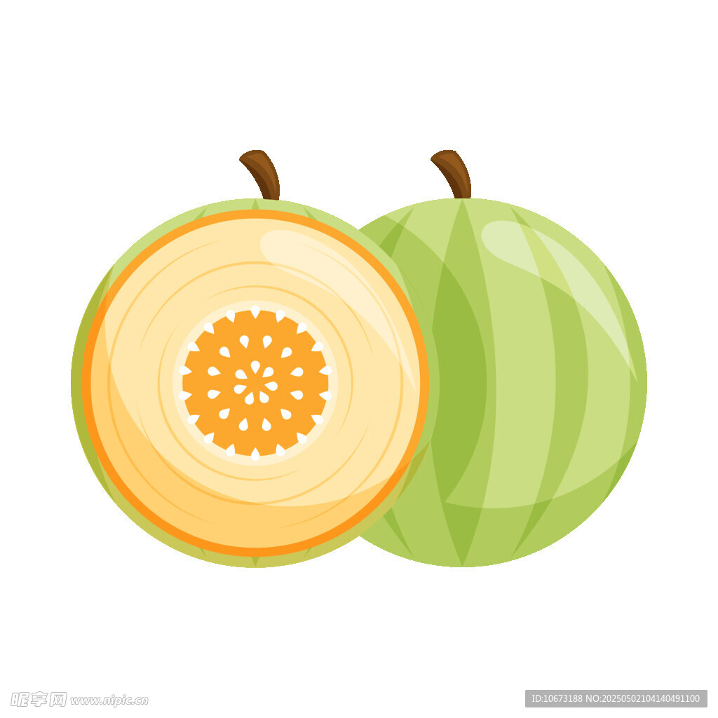 甜瓜插畫