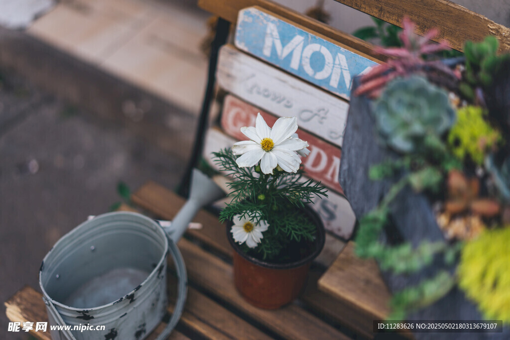 母親節(jié)花卉裝飾擺件