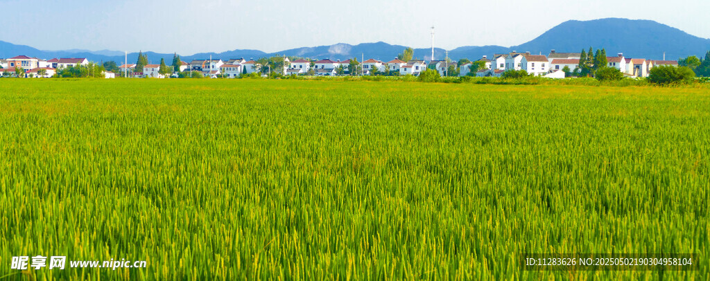 翠綠田野與遠(yuǎn)處山巒美景