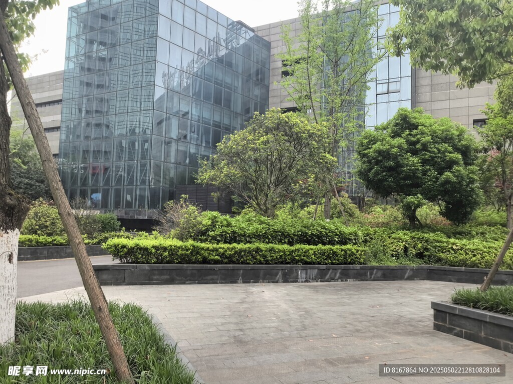 城市中的綠植與現代建筑