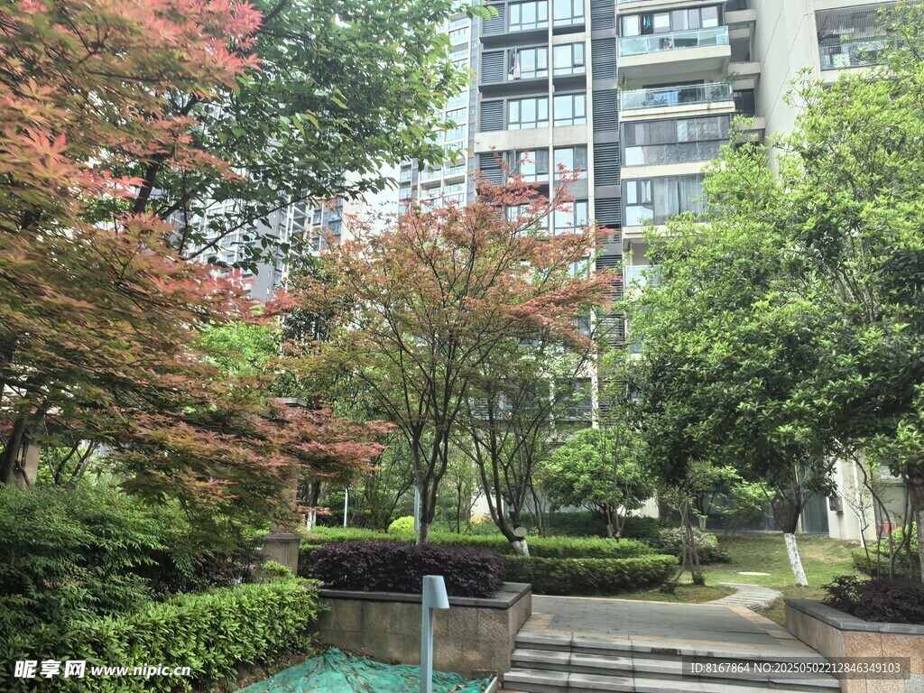 小區內的靜謐園林景觀