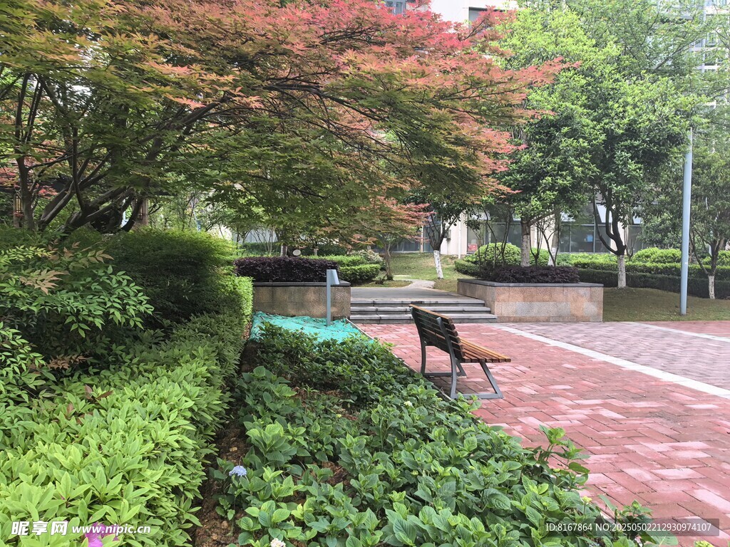 公園中的靜謐長椅與綠植