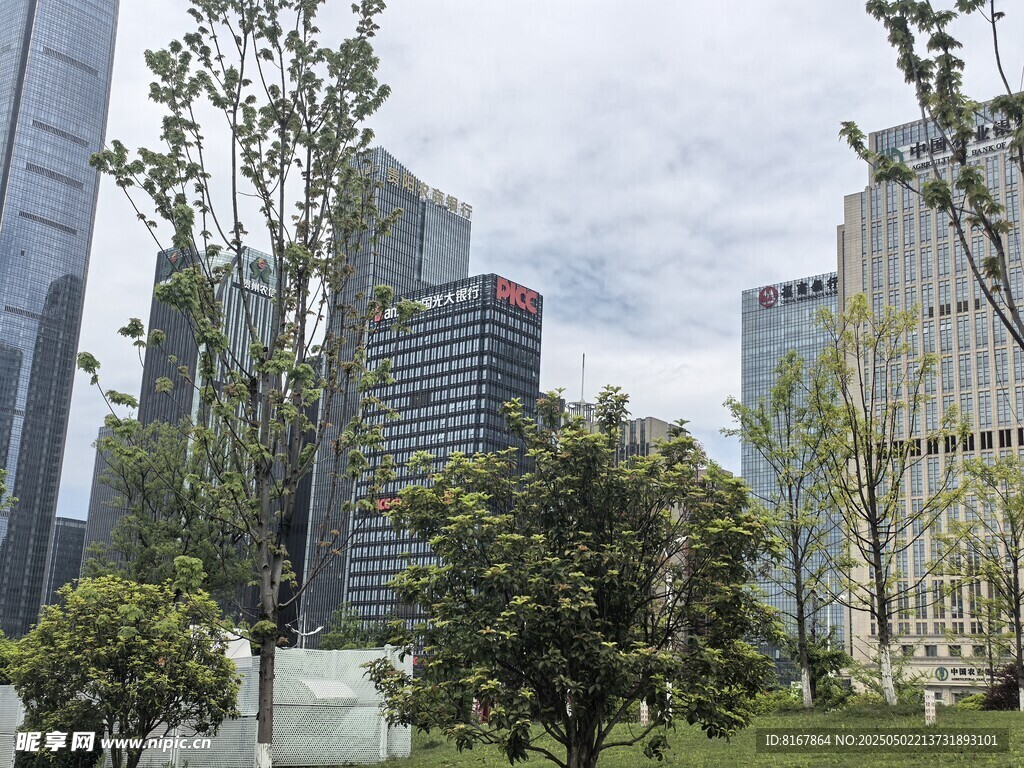 城市中的綠植與高樓景觀