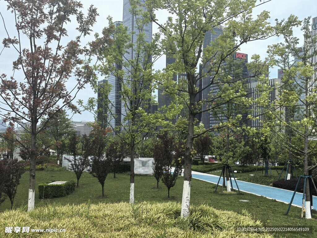 城市中的綠意公園景觀