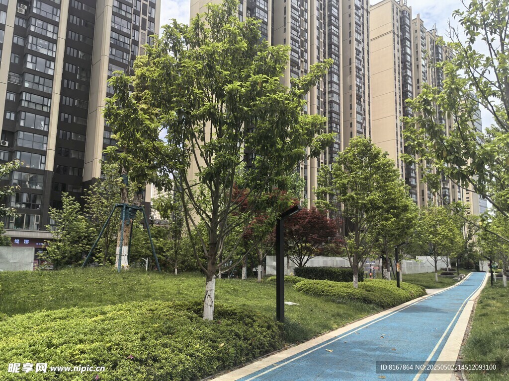 小區(qū)內(nèi)的林蔭步道景觀