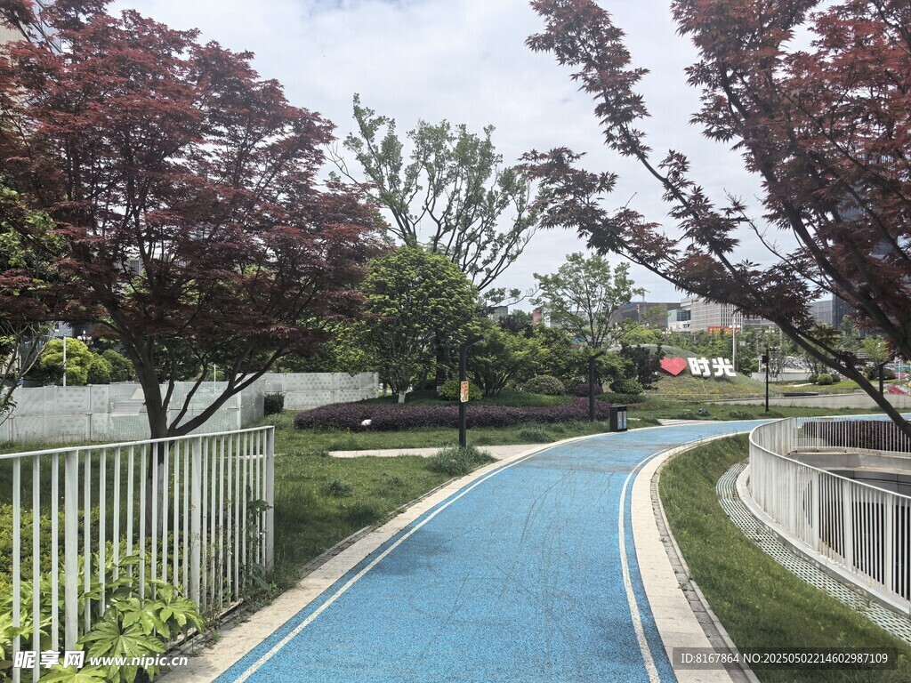 藍色步道旁的綠樹景觀