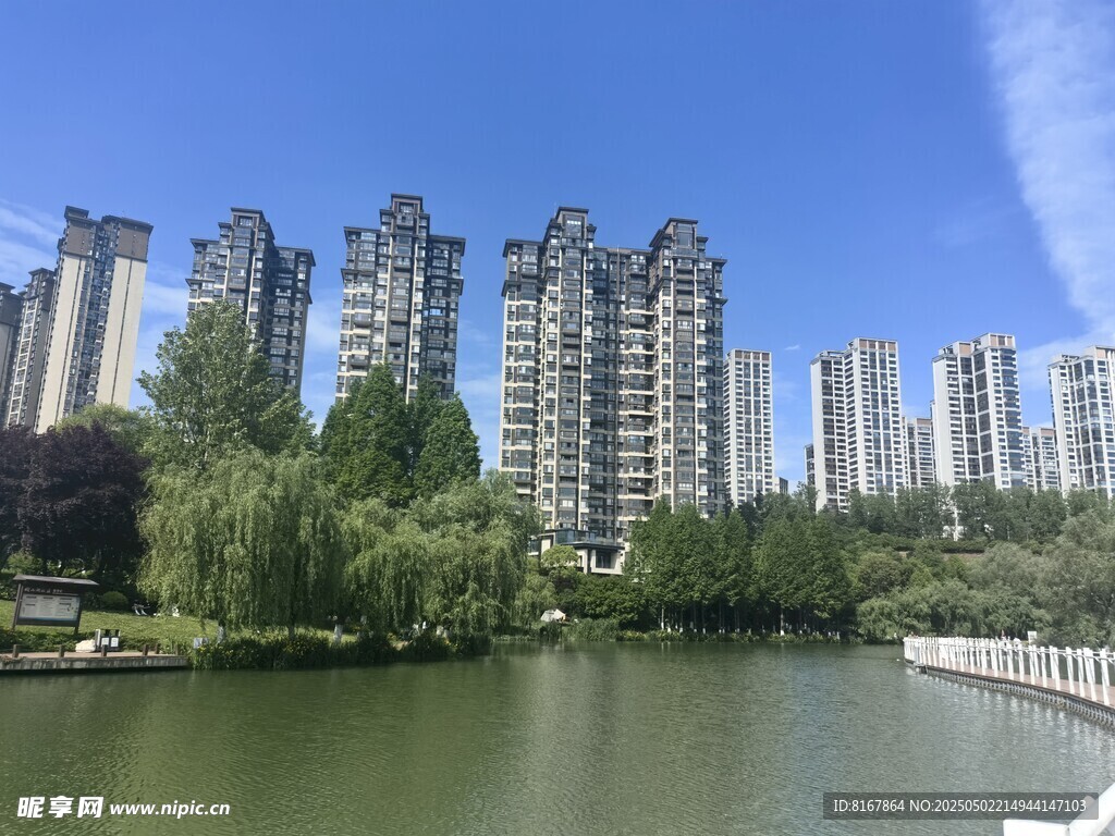 湖畔高樓林立的城市美景