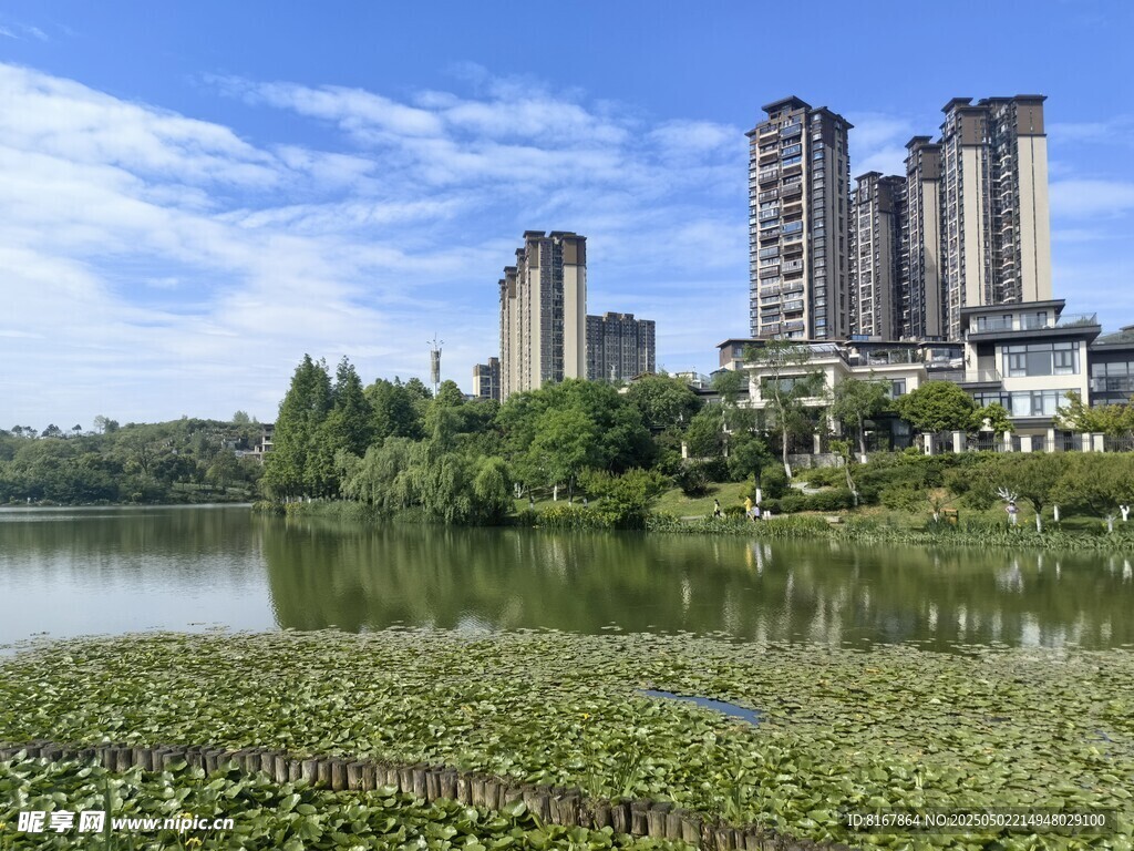 湖畔高樓林立的城市風(fēng)光