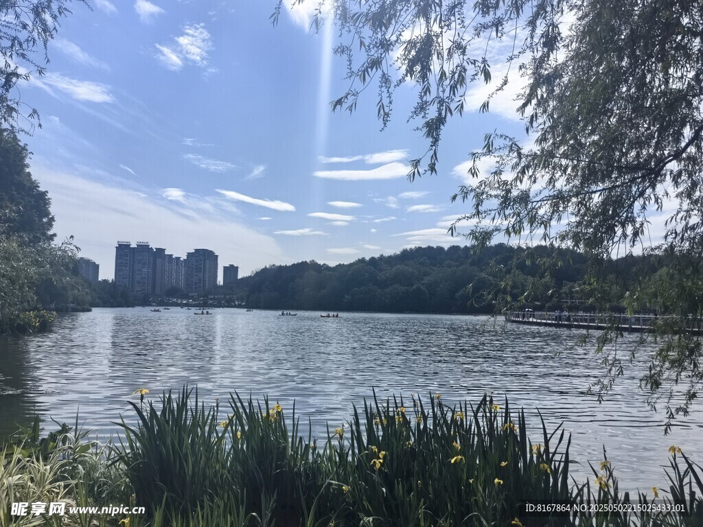 湖畔風光 寧靜自然景致