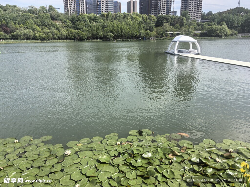 湖畔美景 水面浮橋與綠植
