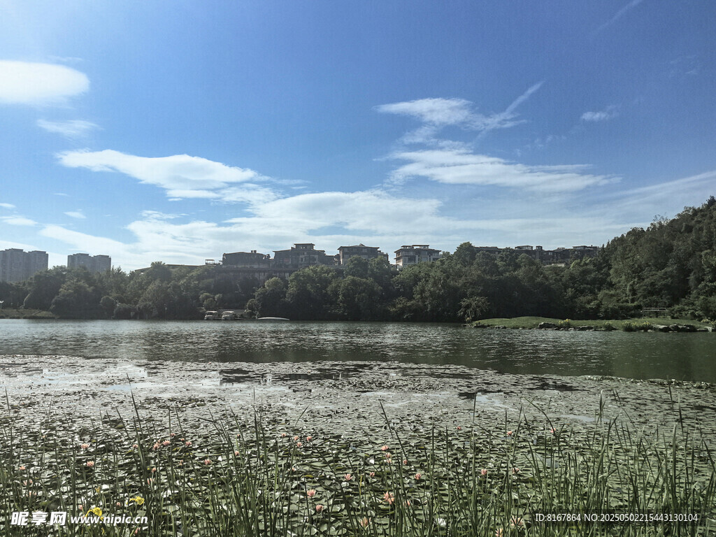 湖畔野花藍天美景