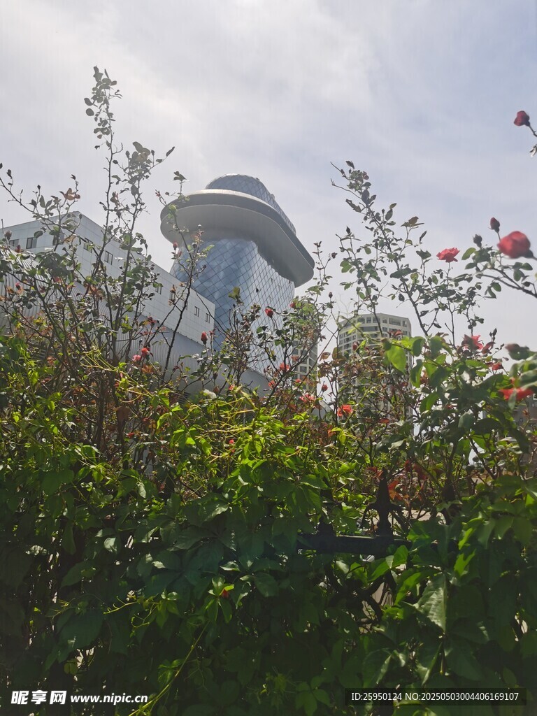 花叢掩映