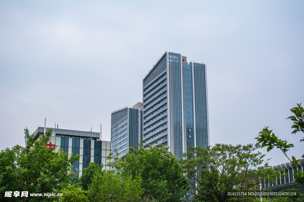 城市高樓與綠樹景觀