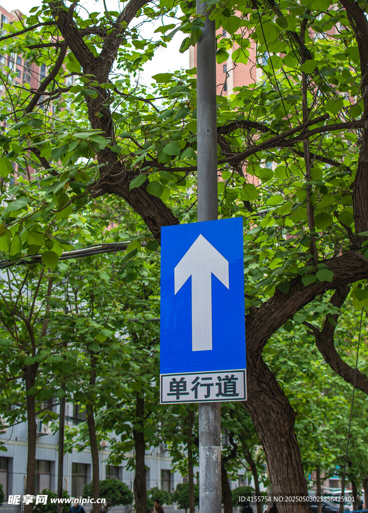 單行道指示牌 綠樹背景