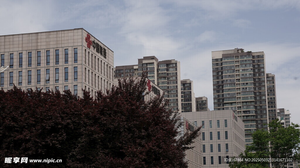 城市建筑群與繁茂樹木