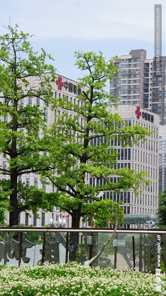 城市中蔥郁樹木與高樓