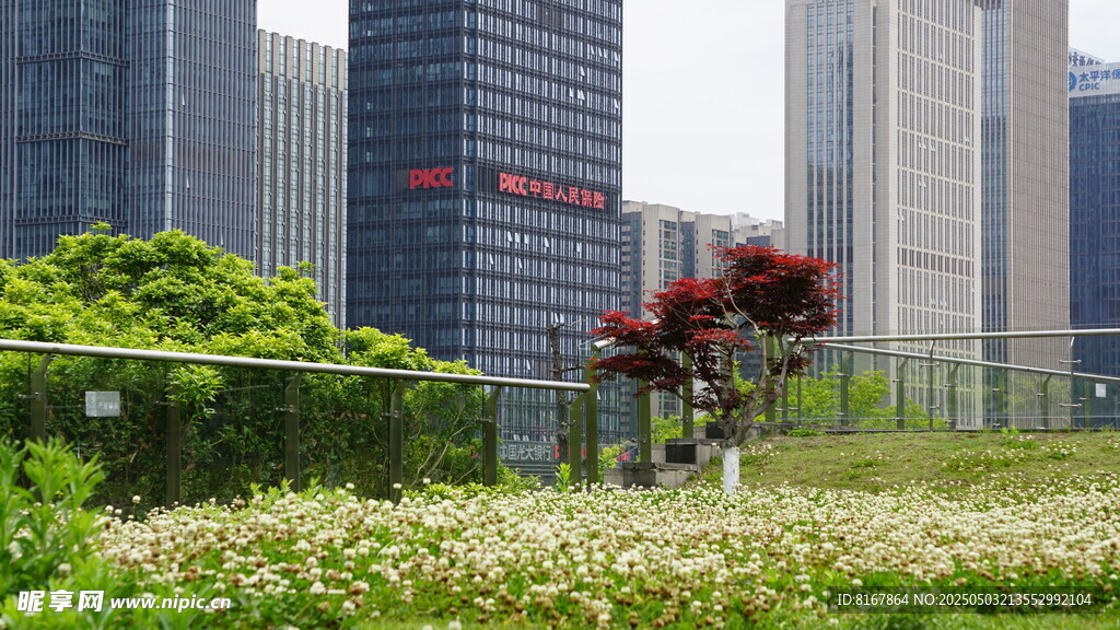 城市中的綠植景觀