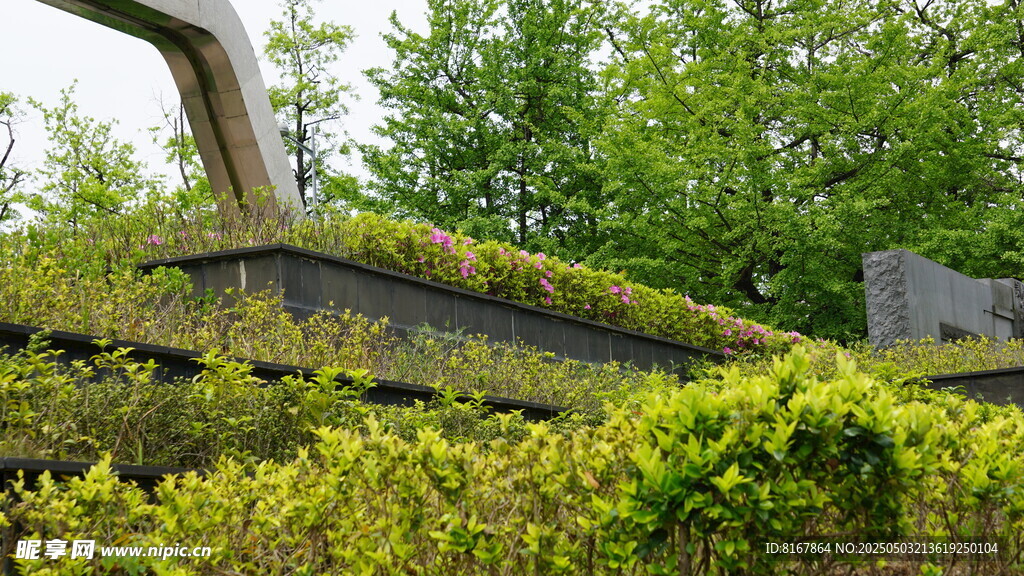 長滿綠植的獨(dú)特建筑景觀