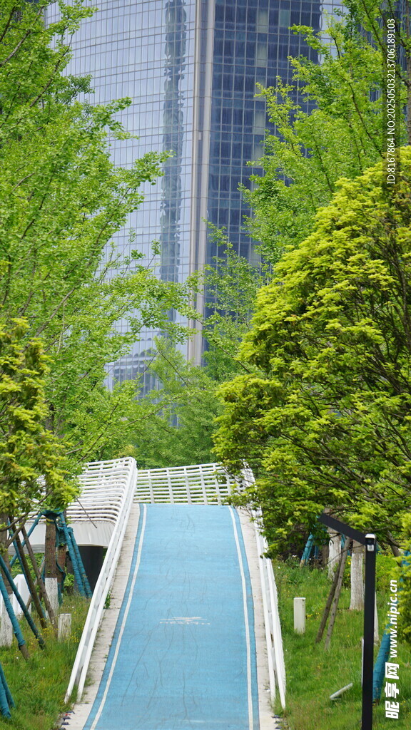 城市中的清新林蔭步道