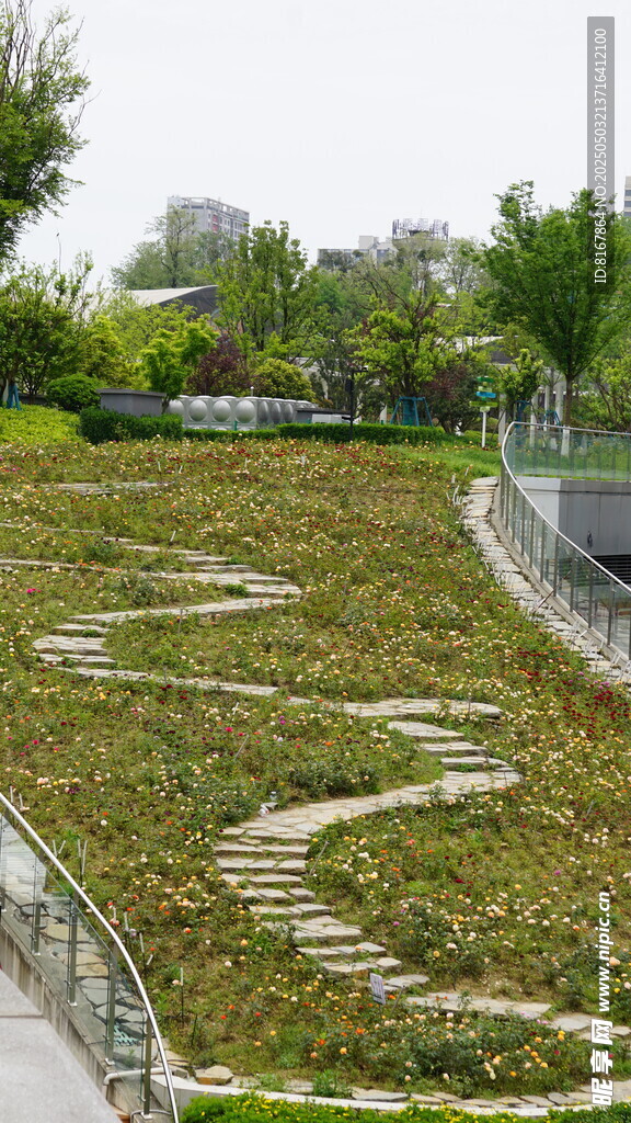 蜿蜒小徑穿梭于綠植間