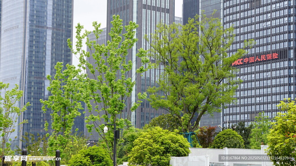 城市中的綠樹與高樓景觀