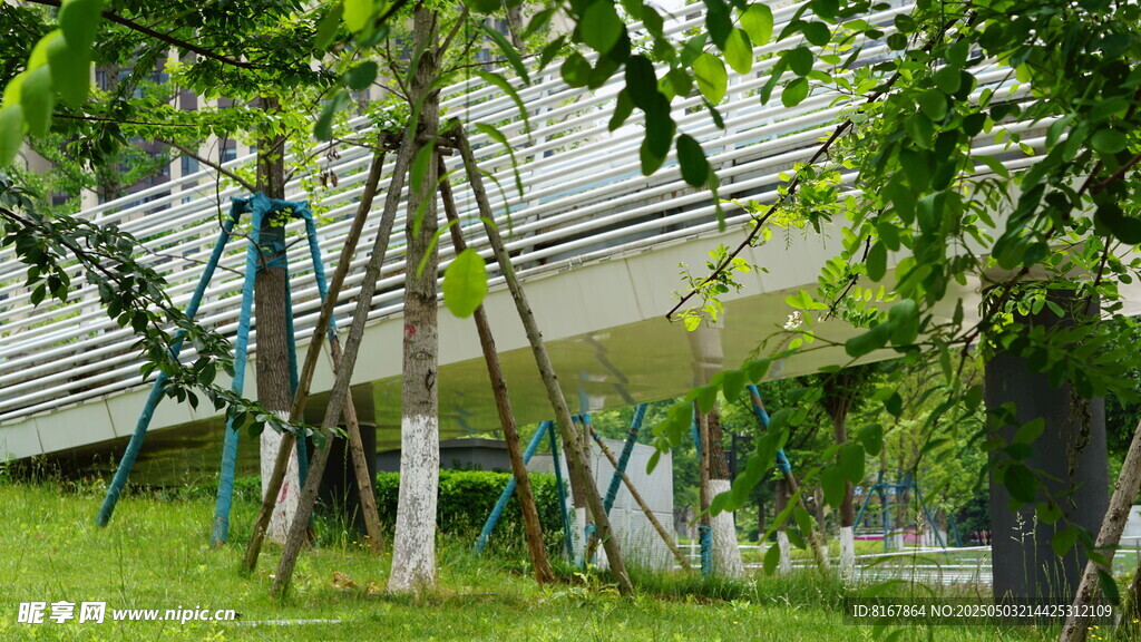 綠樹環繞的現代建筑景觀