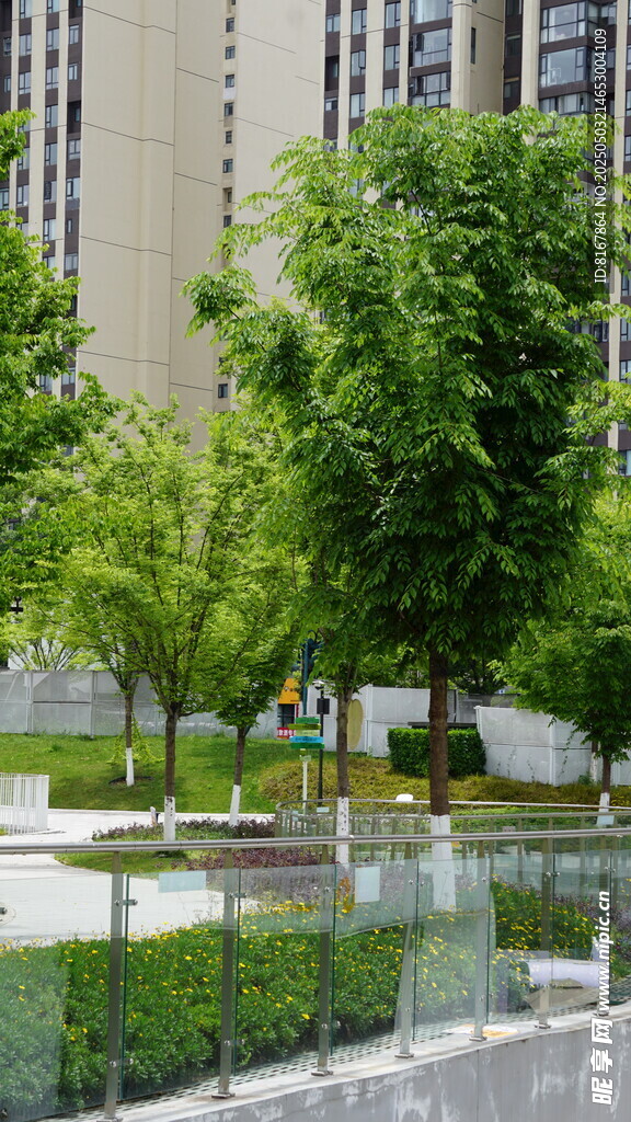 城市中的綠意景觀空間