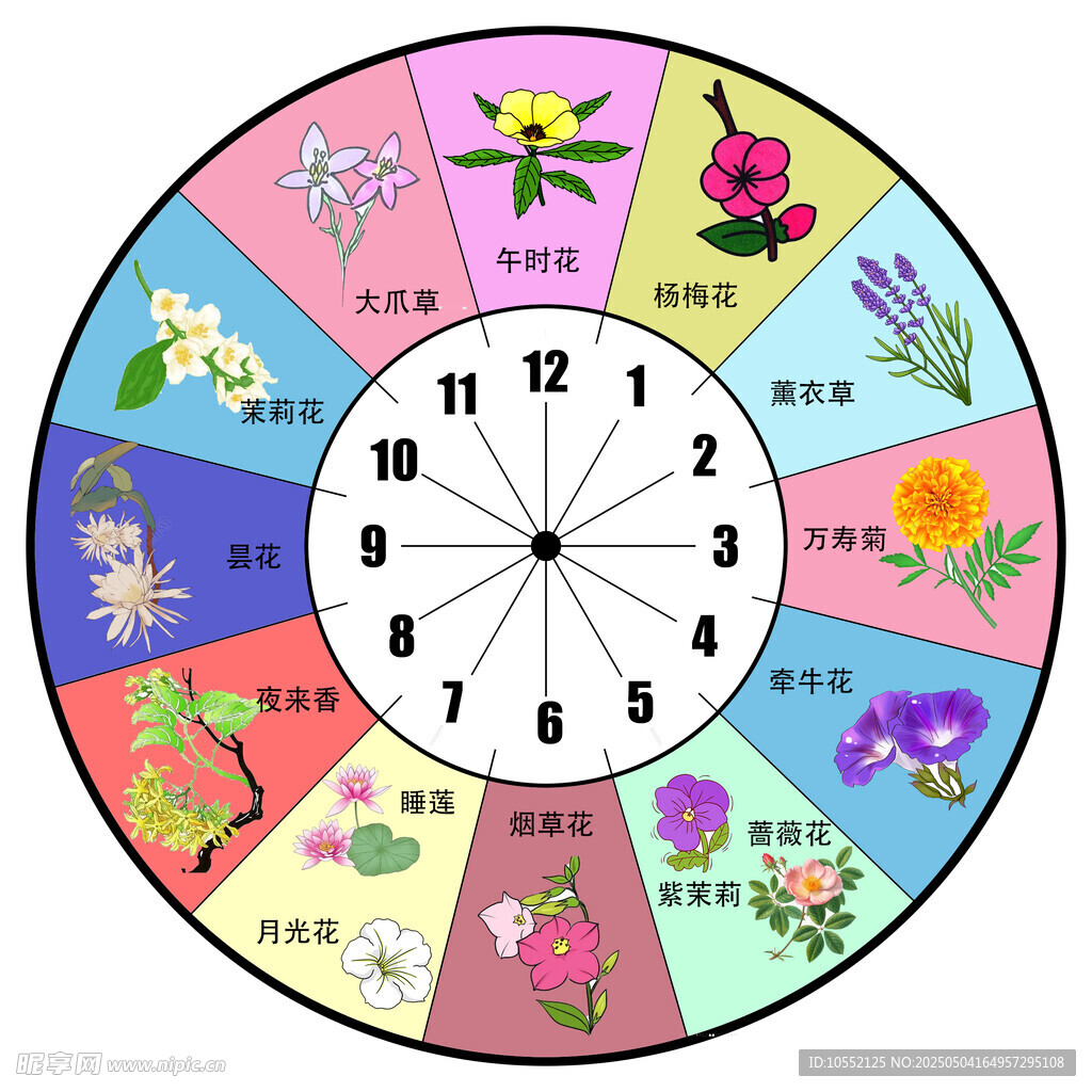 花鐘