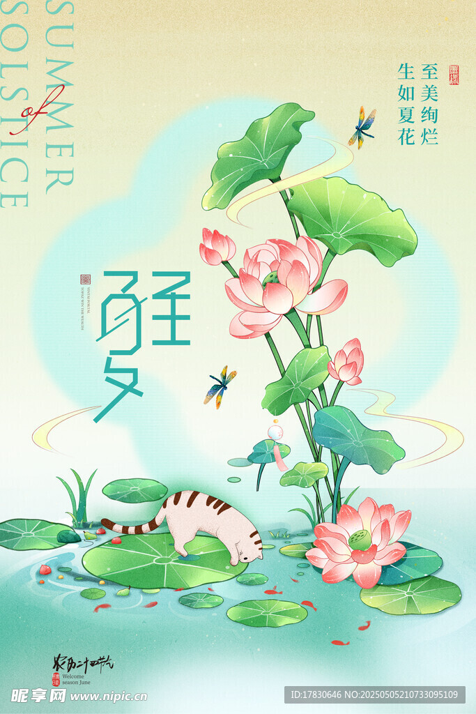 夏日荷塘圖