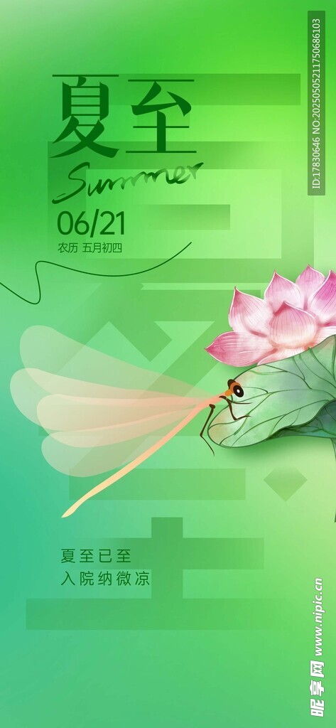 夏至節(jié)氣荷花清新插畫