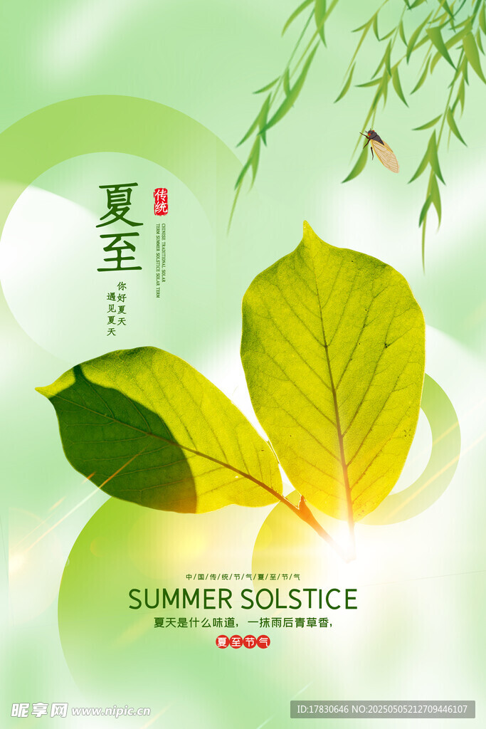 夏日清新綠葉插畫