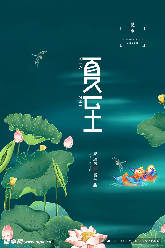 夏至荷塘美景