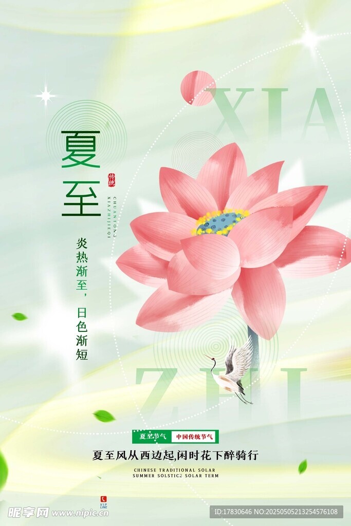 夏至?xí)r節(jié)綻放的嬌艷荷花