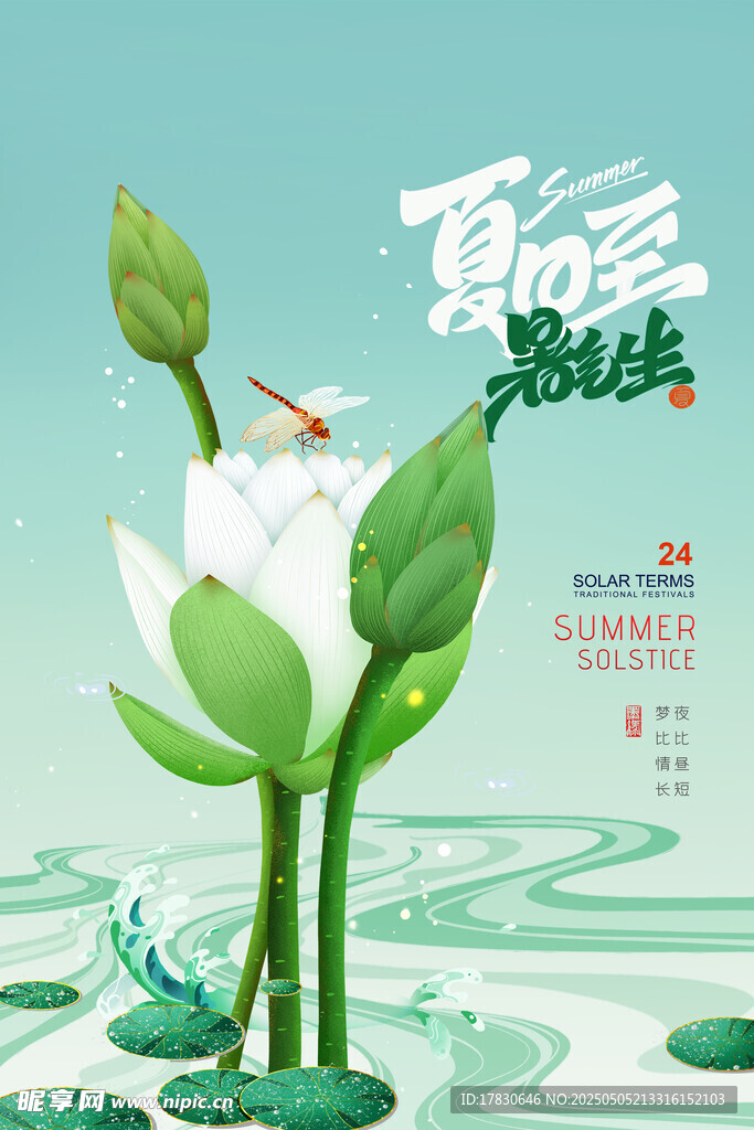 夏日荷花蜻蜓清新插畫