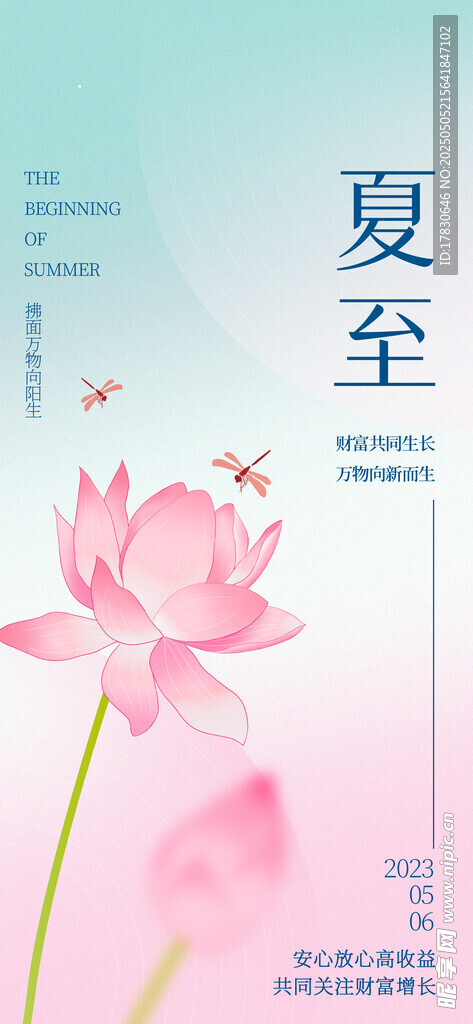 夏至荷花圖