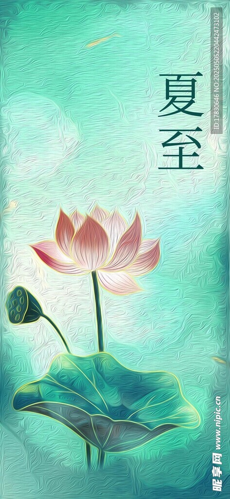 夏至時節綻放的美麗荷花