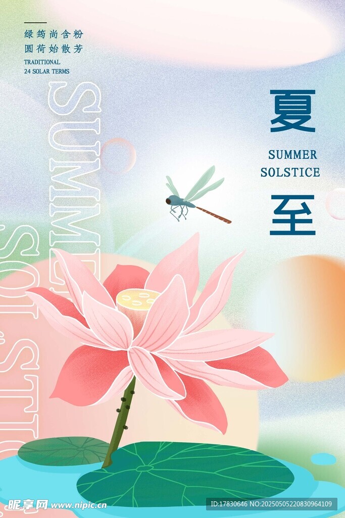 夏至荷花蜻蜓美景圖
