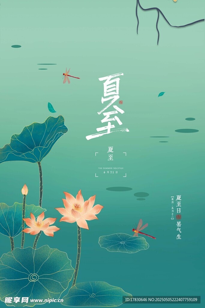 夏日荷塘美景
