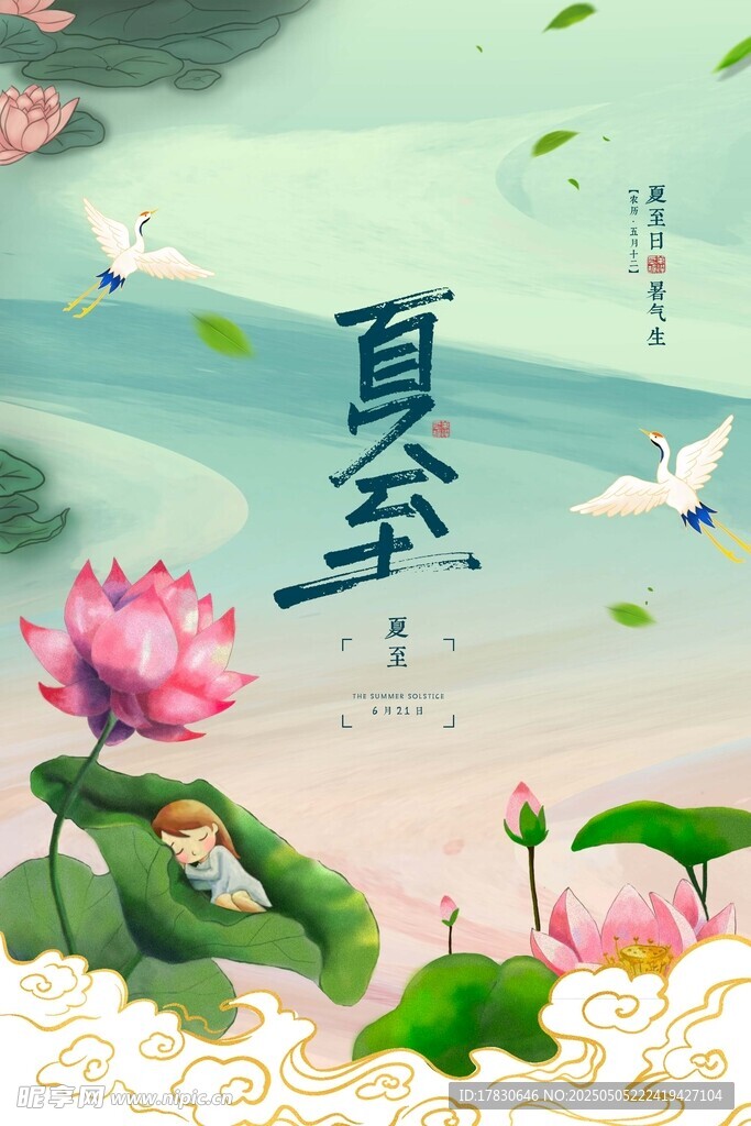 夏至荷花景