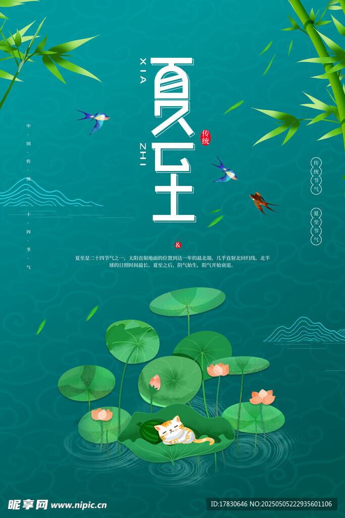 夏至?xí)r節(jié)荷塘美景