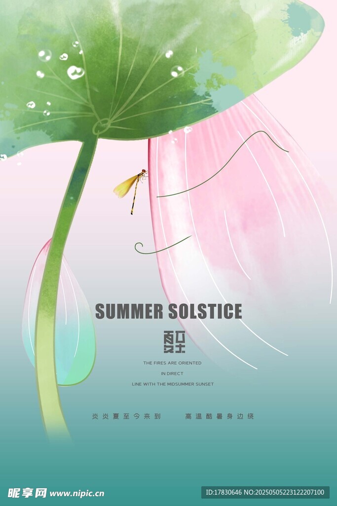 夏日清新荷葉插畫(huà)背景