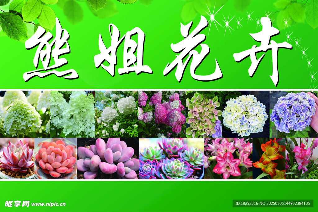 熊姐花卉多樣花卉展示