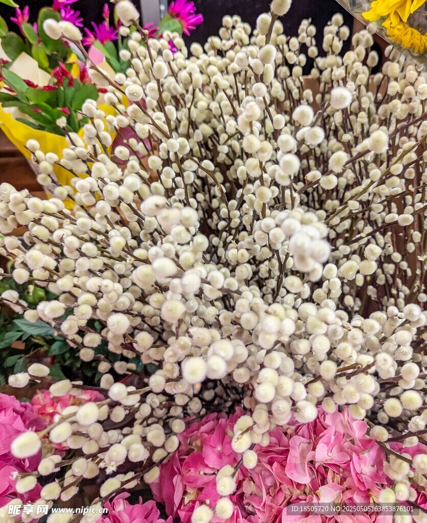 白色花束