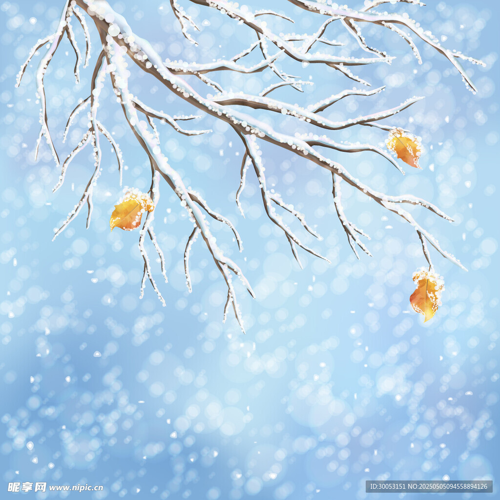 雪天樹枝上的黃色果實